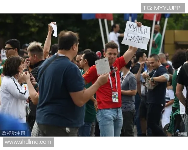 世界杯期间球票炒至天价,黄牛猖獗 世界杯期间球票炒至天价,黄牛猖獗