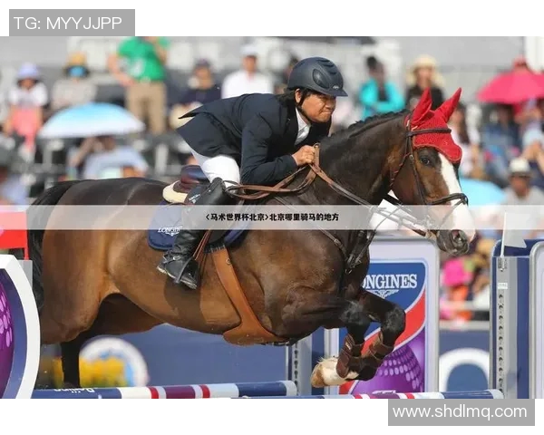 奥运会裁判主观评分公正性与舆情分析研究模型构建 奥运会裁判主观评分公正性与舆情分析研究模型构建