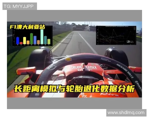 F1车队赛中实时策略调整与数据分析应用研究探讨